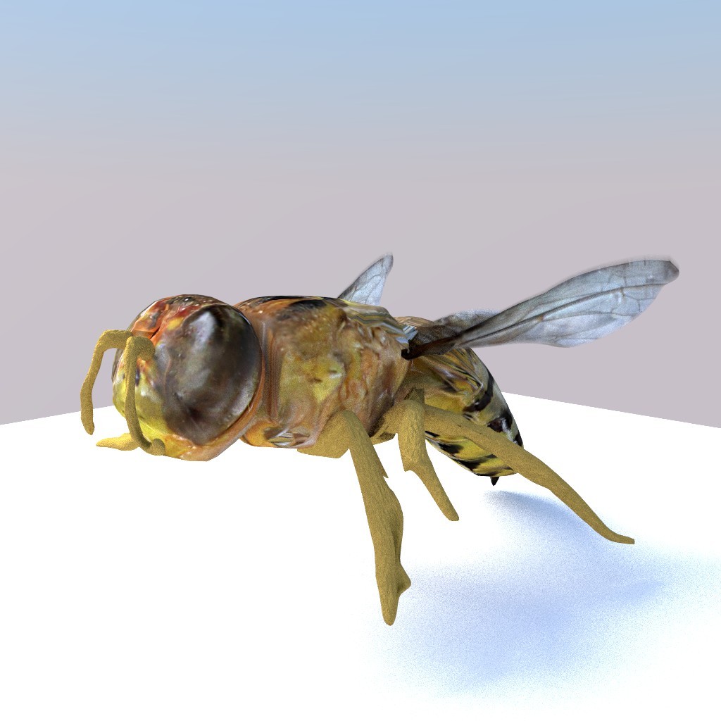 European Wasp (Rigged) preview image 1